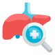 Liver icon