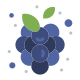 Grapes icon