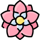 fleurs-de-dahlia-externes-vitaly-gorbatchev-couleur-linéaire-vitaly-gorbatchev icon