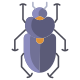 Beetle icon