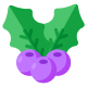 Holly Berries icon