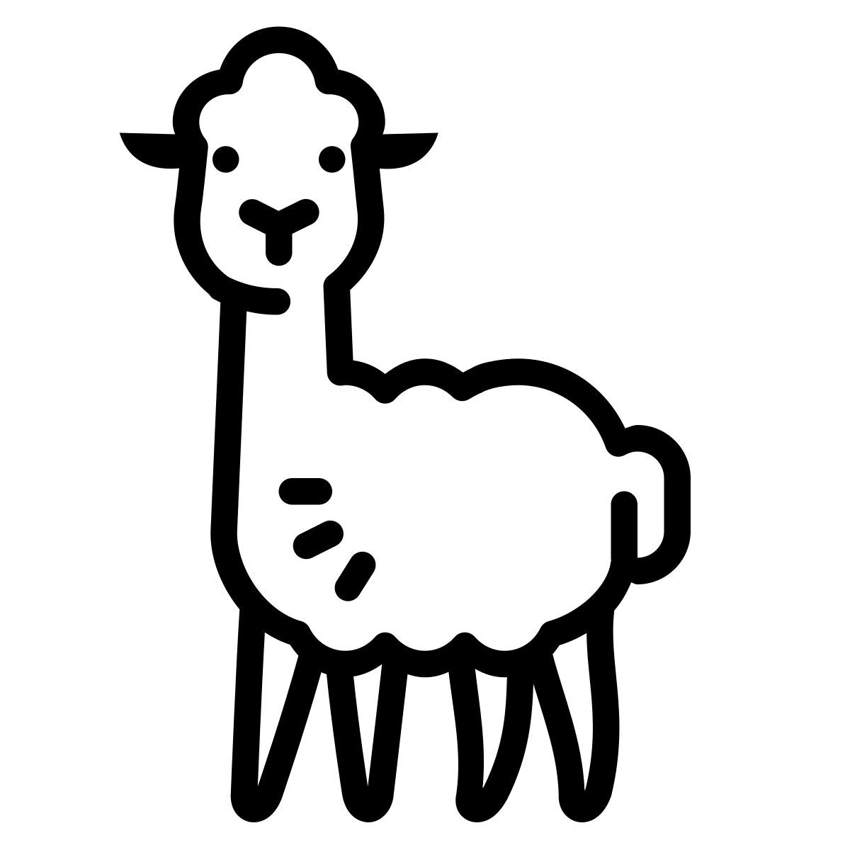 cute outline style alpaca icon