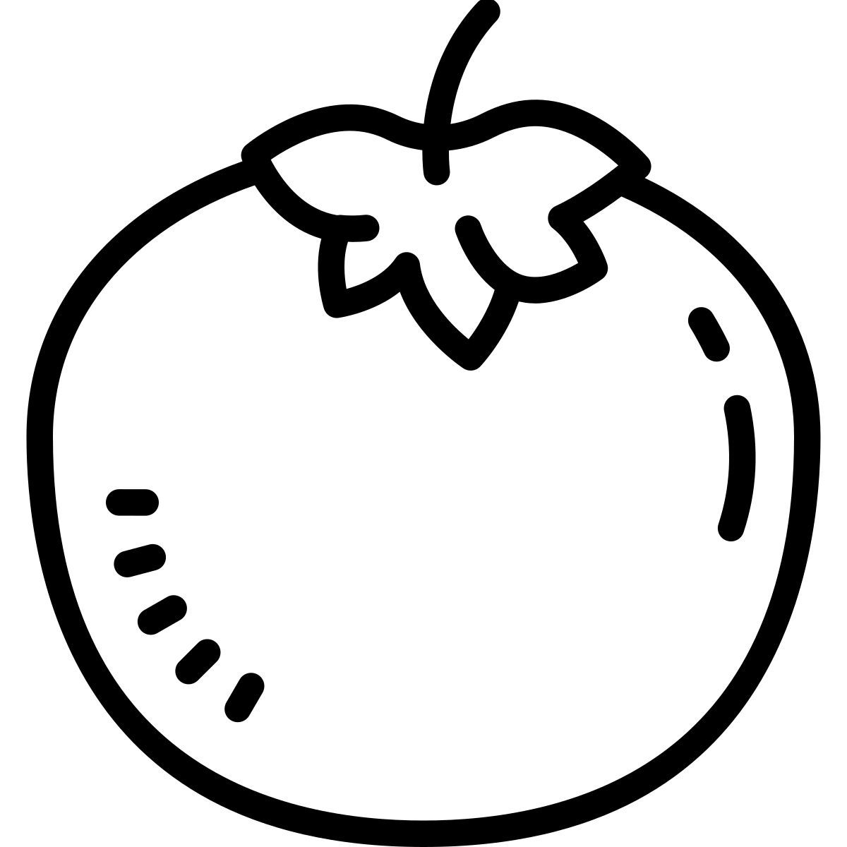 cute outline style tomate icon