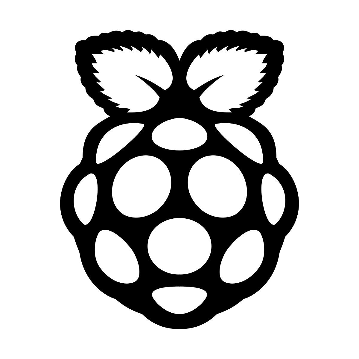 material filled style 라즈베리 파이 icon