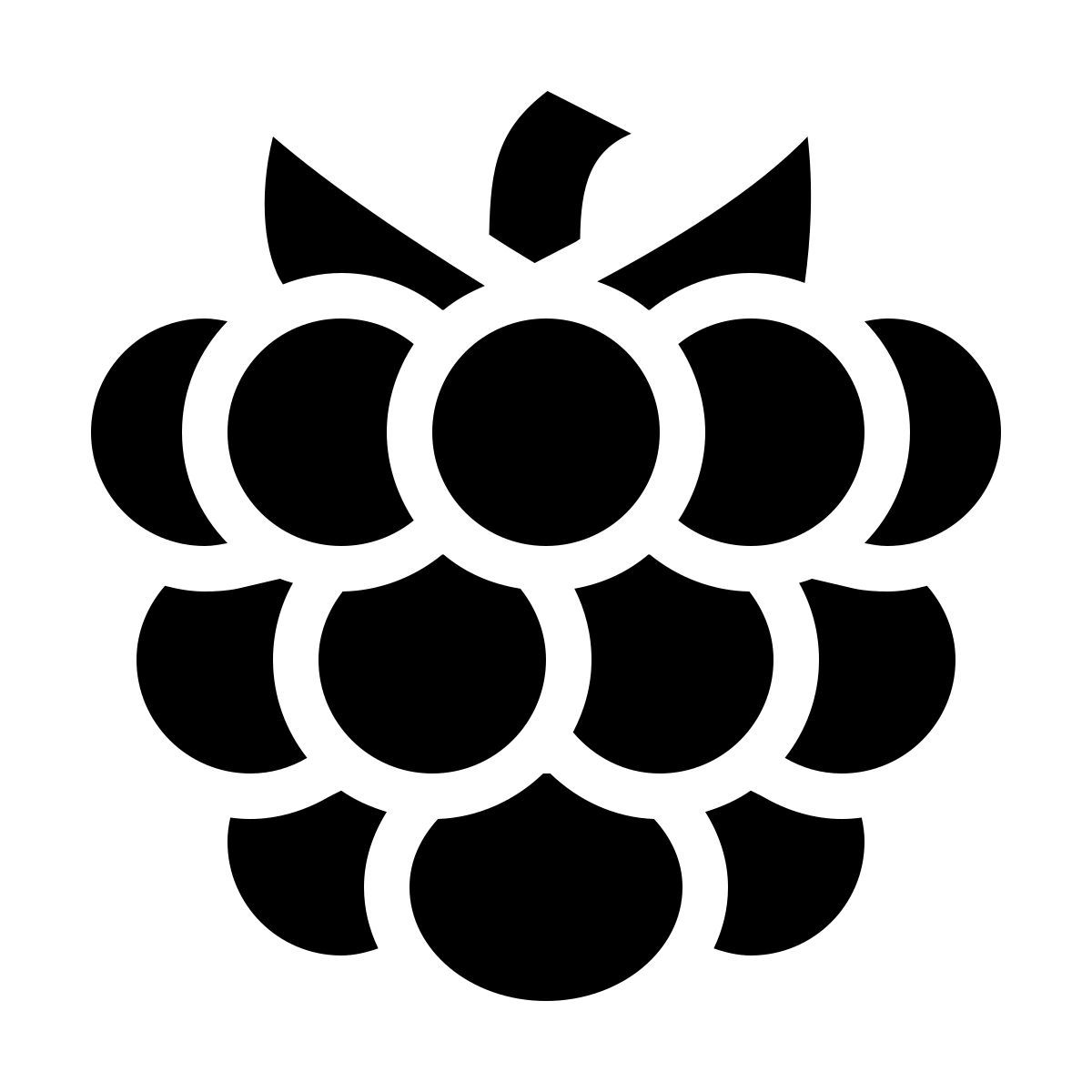 material filled style framboise icon