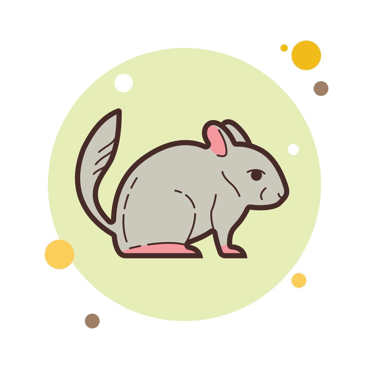 bubbles style chinchilla icon