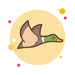 Flying Duck icon