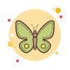 butterfly icon