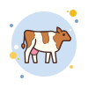 Cow Breed icon