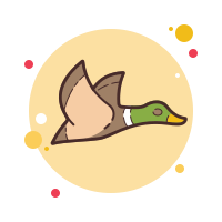 flying duck icon