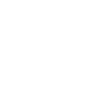 security-shield