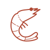 prawn