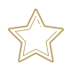 filled-star