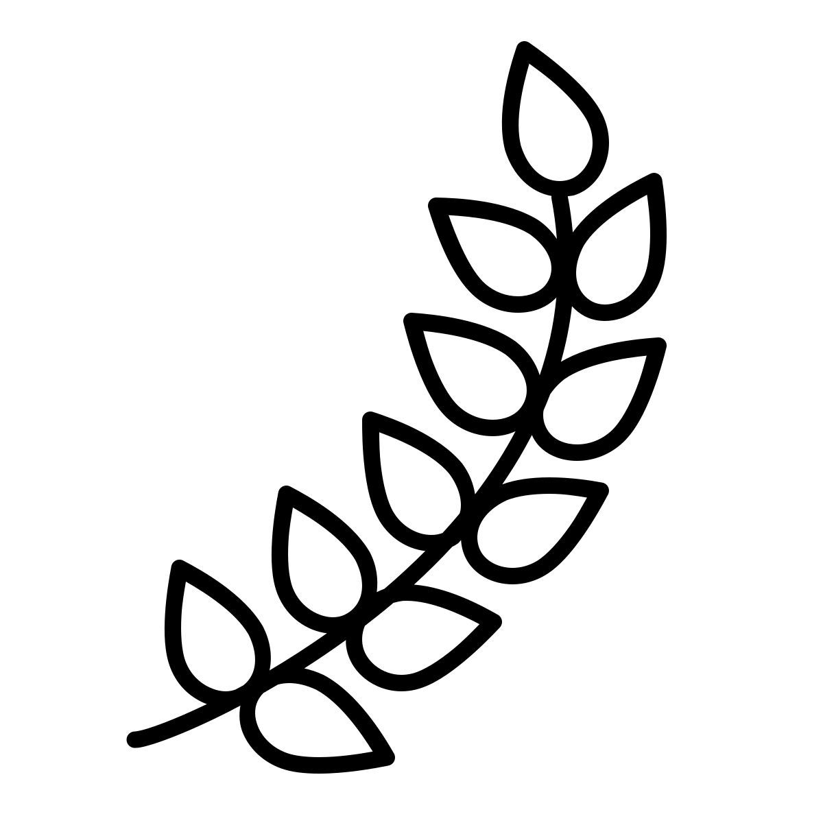outline hand drawn style orzo icon