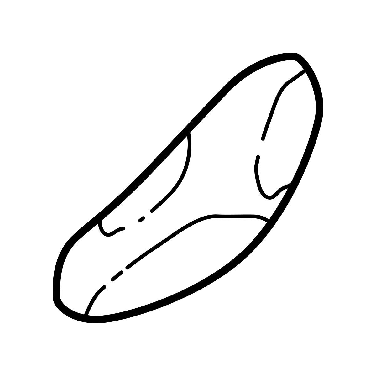 outline hand drawn style noix du brésil icon