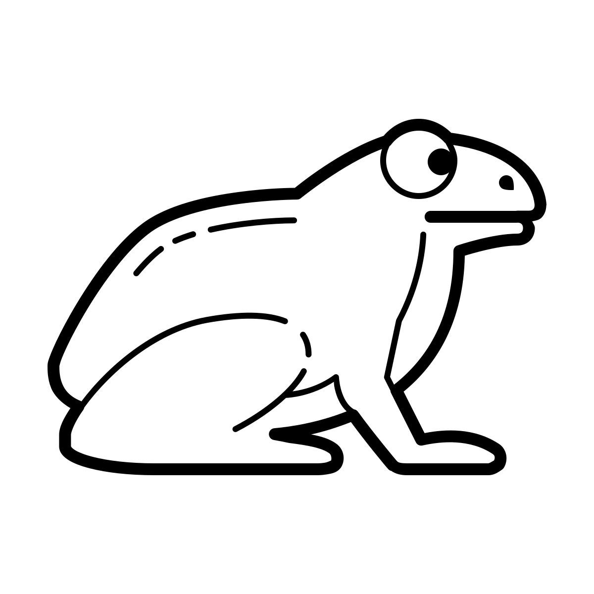 outline hand drawn style frog icon