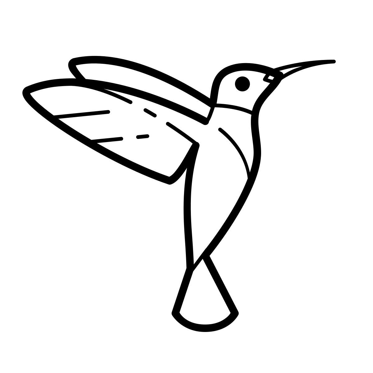 outline hand drawn style colibrì icon