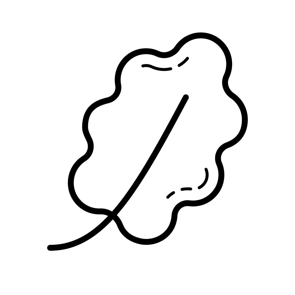 outline hand drawn style 참나무 잎 icon