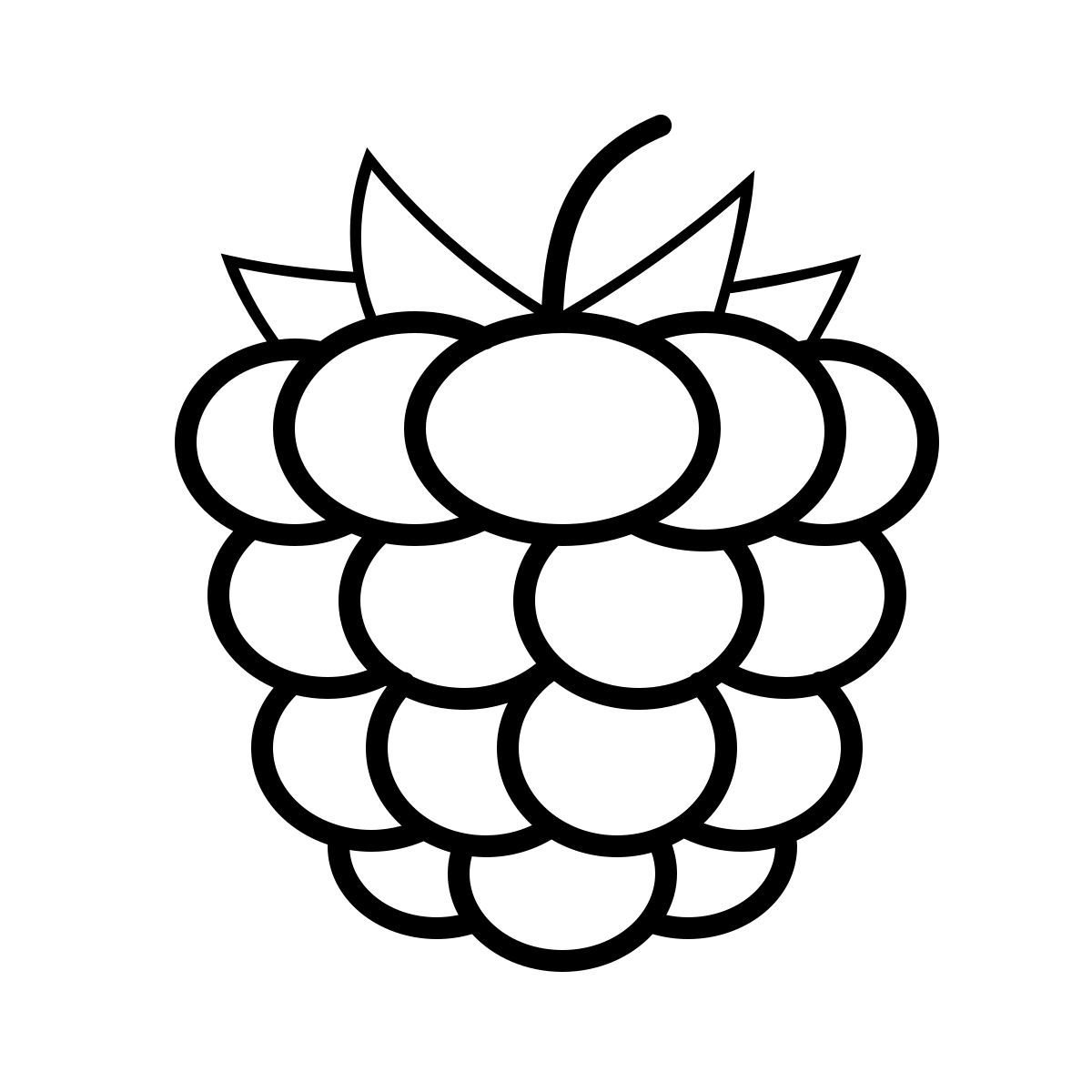 outline hand drawn style 산딸기 icon