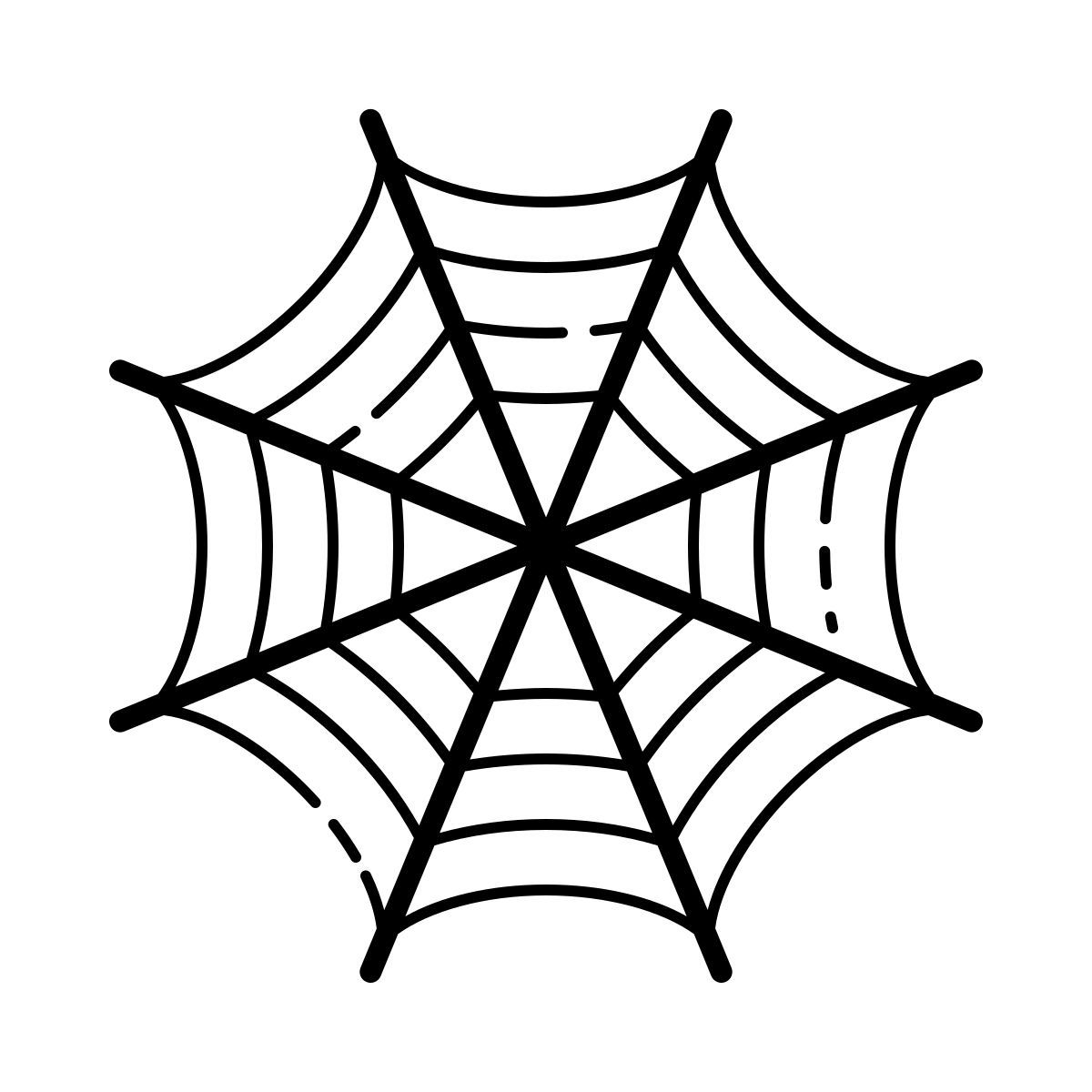 outline hand drawn style 蜘蛛网 icon