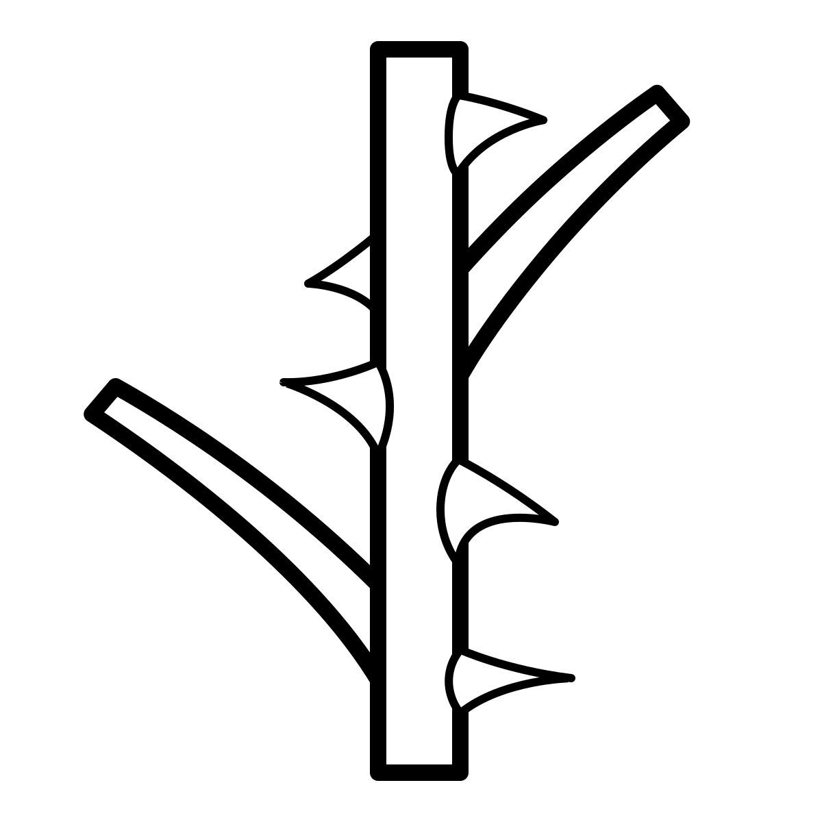 outline hand drawn style 가시 icon