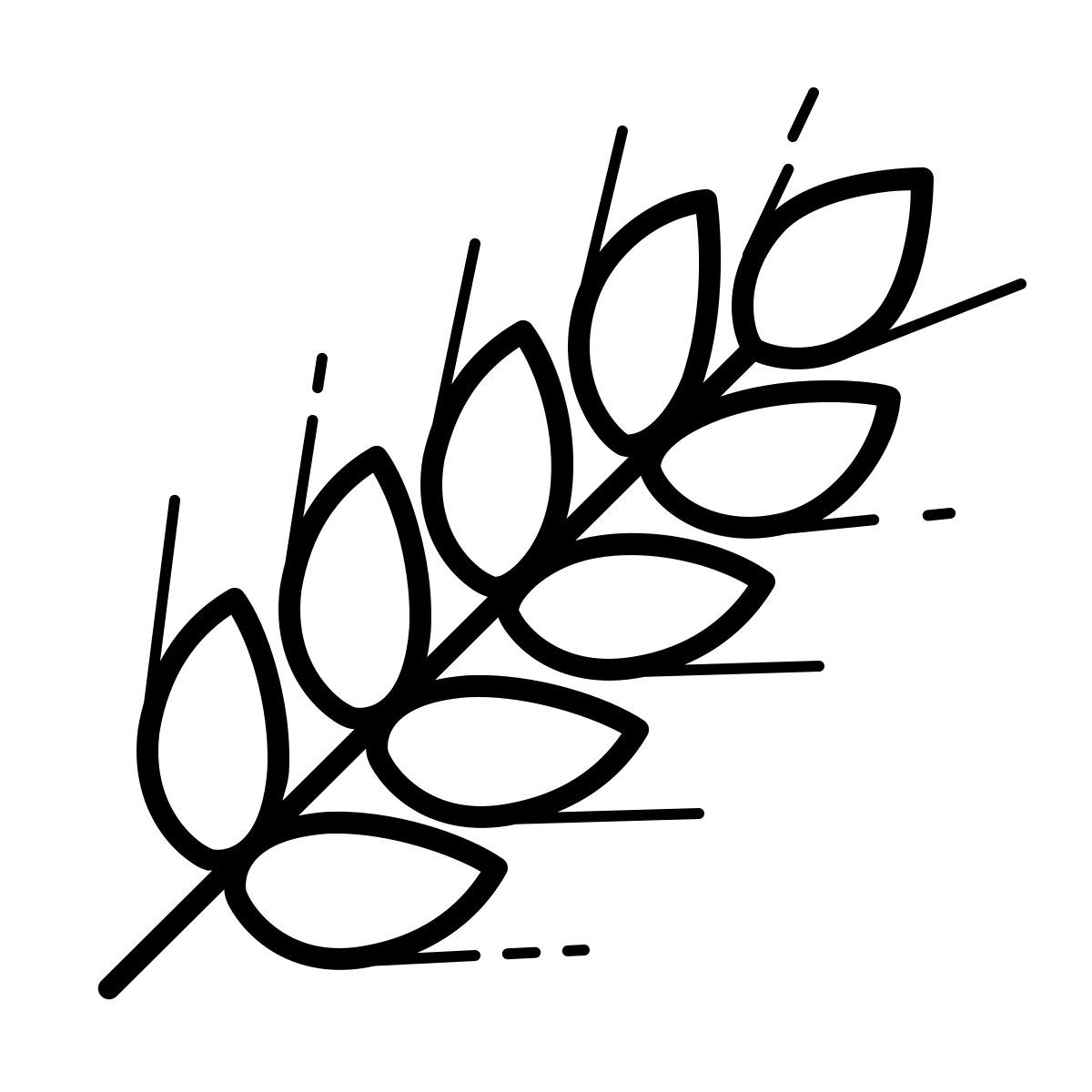 outline hand drawn style blé icon