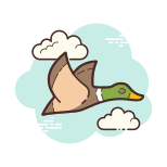 Flying Duck icon