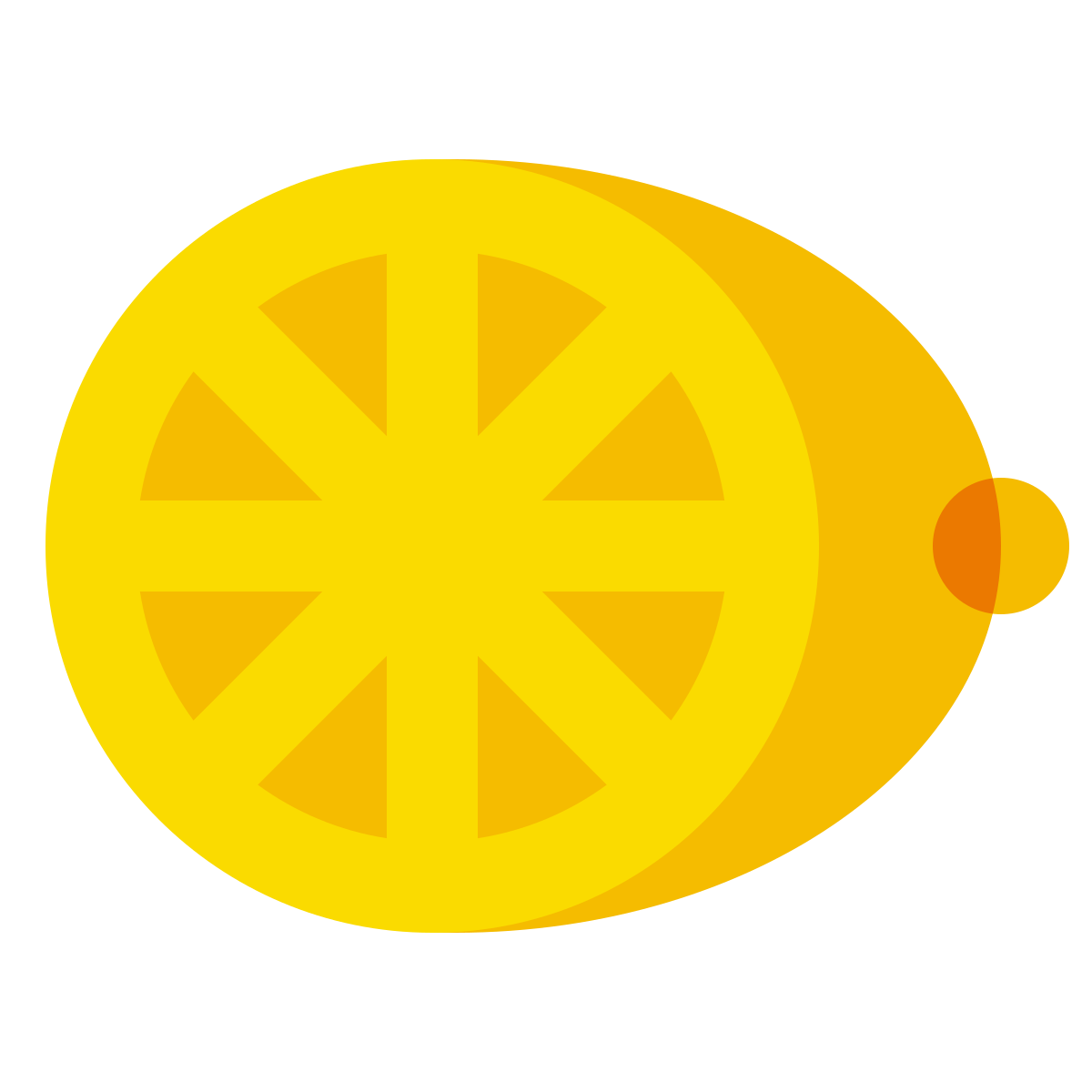 color glass style citrus icon