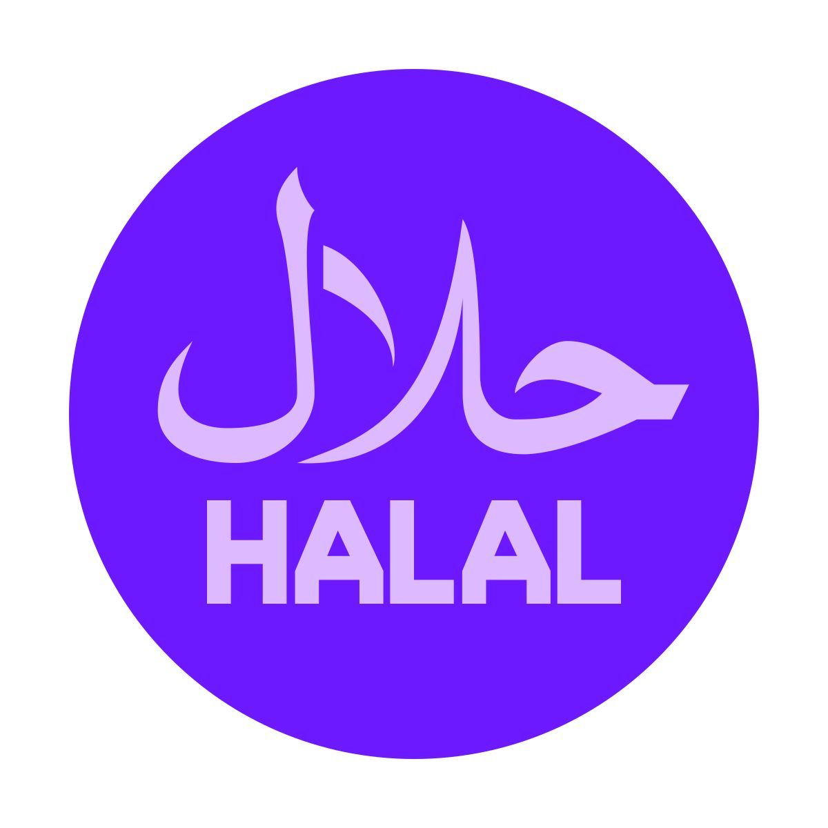 color glass style signe halal icon