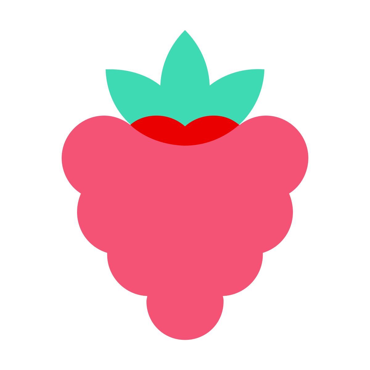 color glass style 산딸기 icon