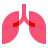 lungs icon