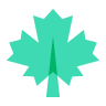 maple leaf icon