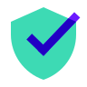 security checked--v2 icon