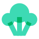 broccoli icon