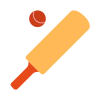 Playing Cricket