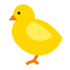 chick-1