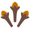 Black Pepper