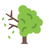 dead-tree