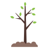 growing-tree