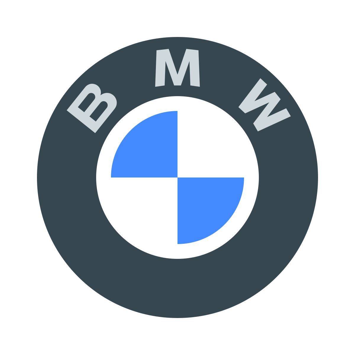 color style bmw icon