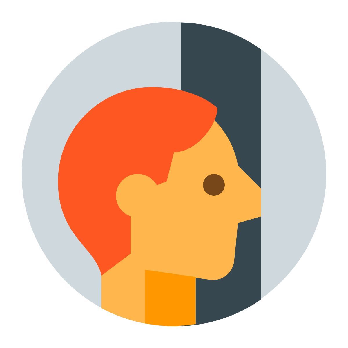color style curieux icon