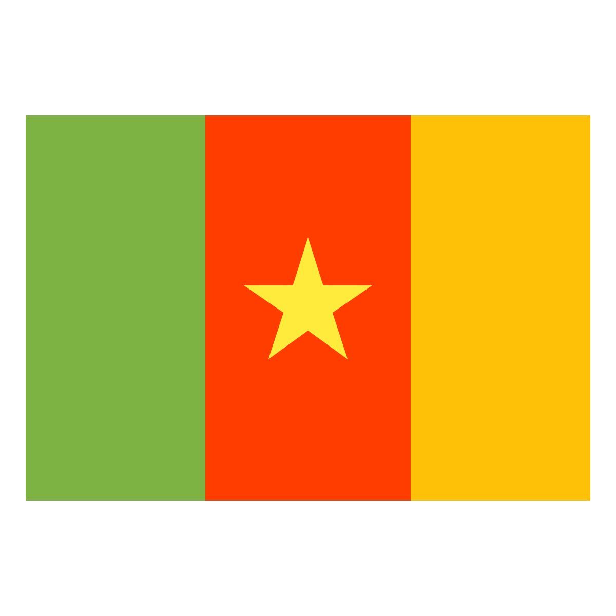 color style 喀麦隆 icon