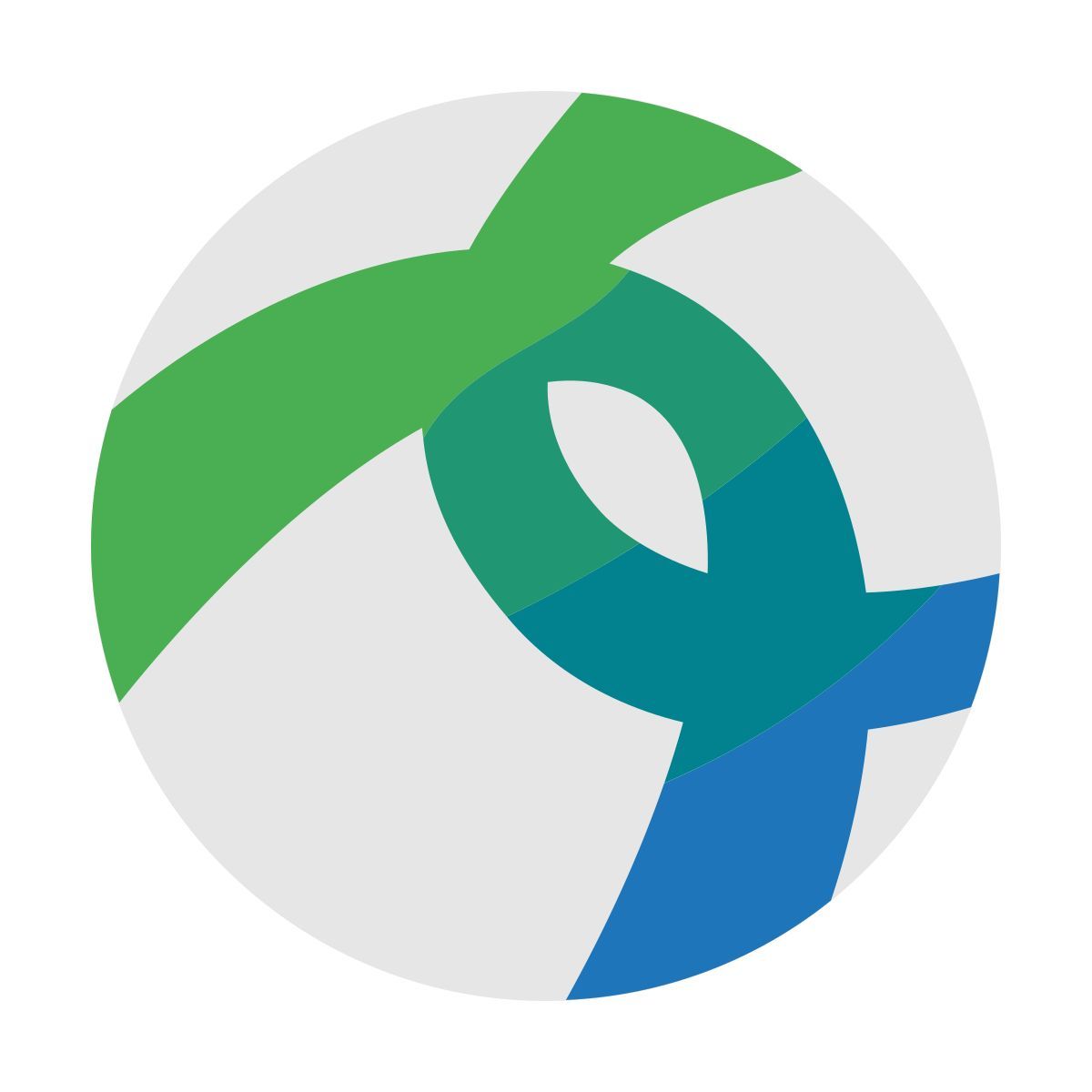 color style datos icon