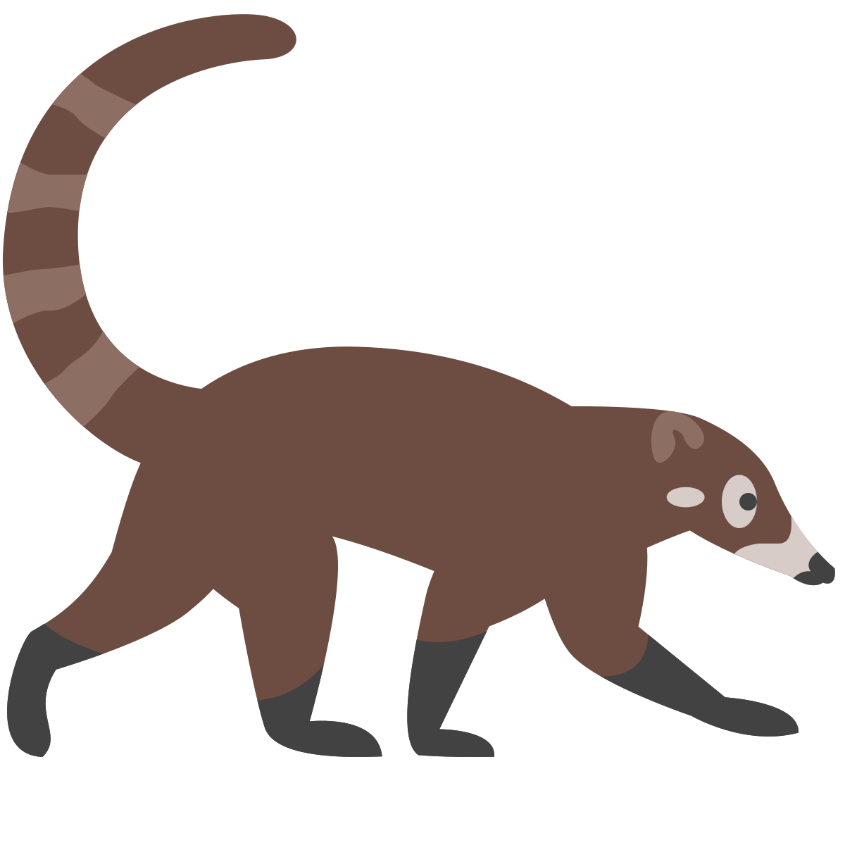 color style coati  v2 icon