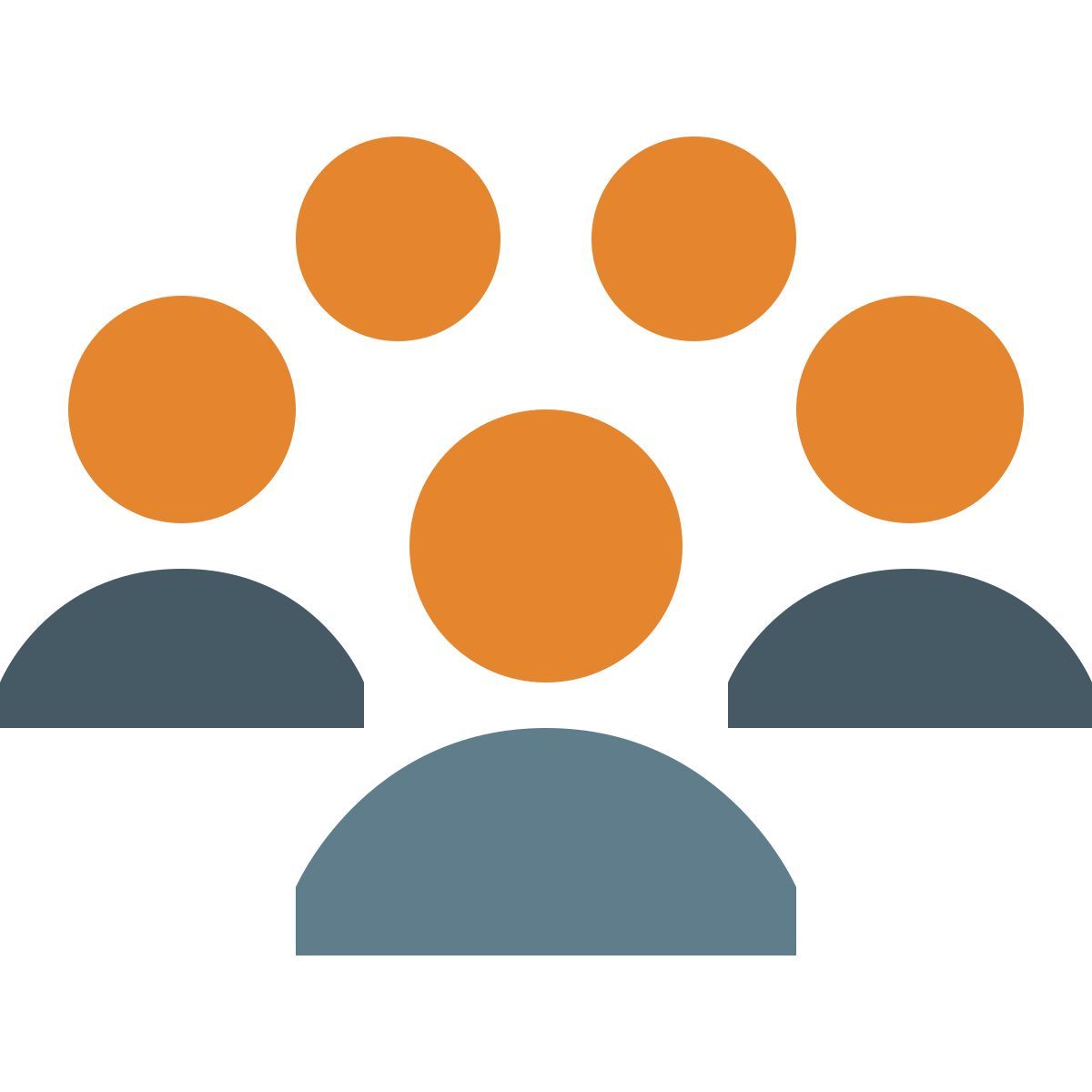 color style crowd skin type 4 icon