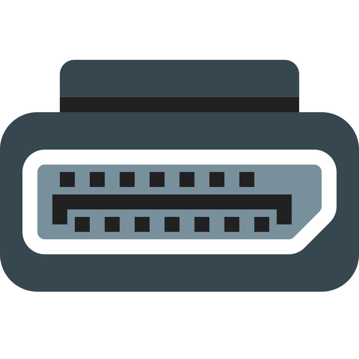 color style display port icon