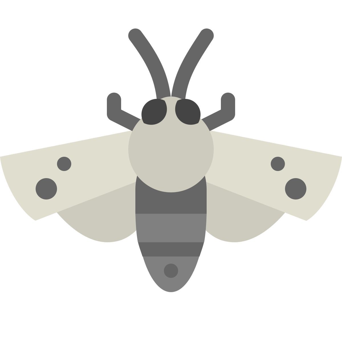 color style falena falco icon