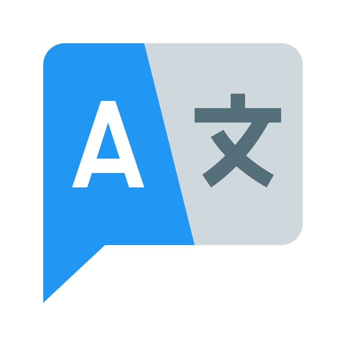 color style language icon