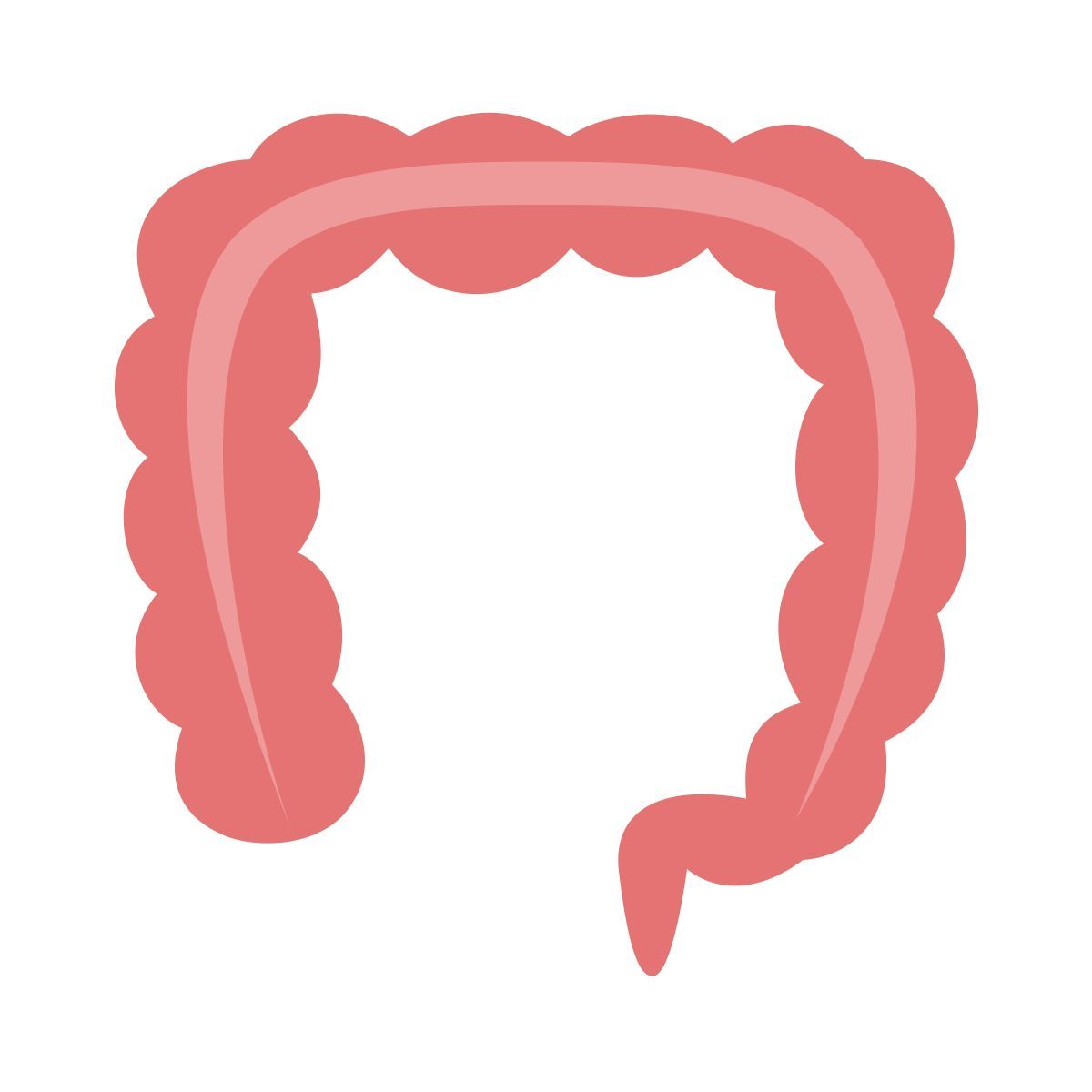 color style anatomie icon