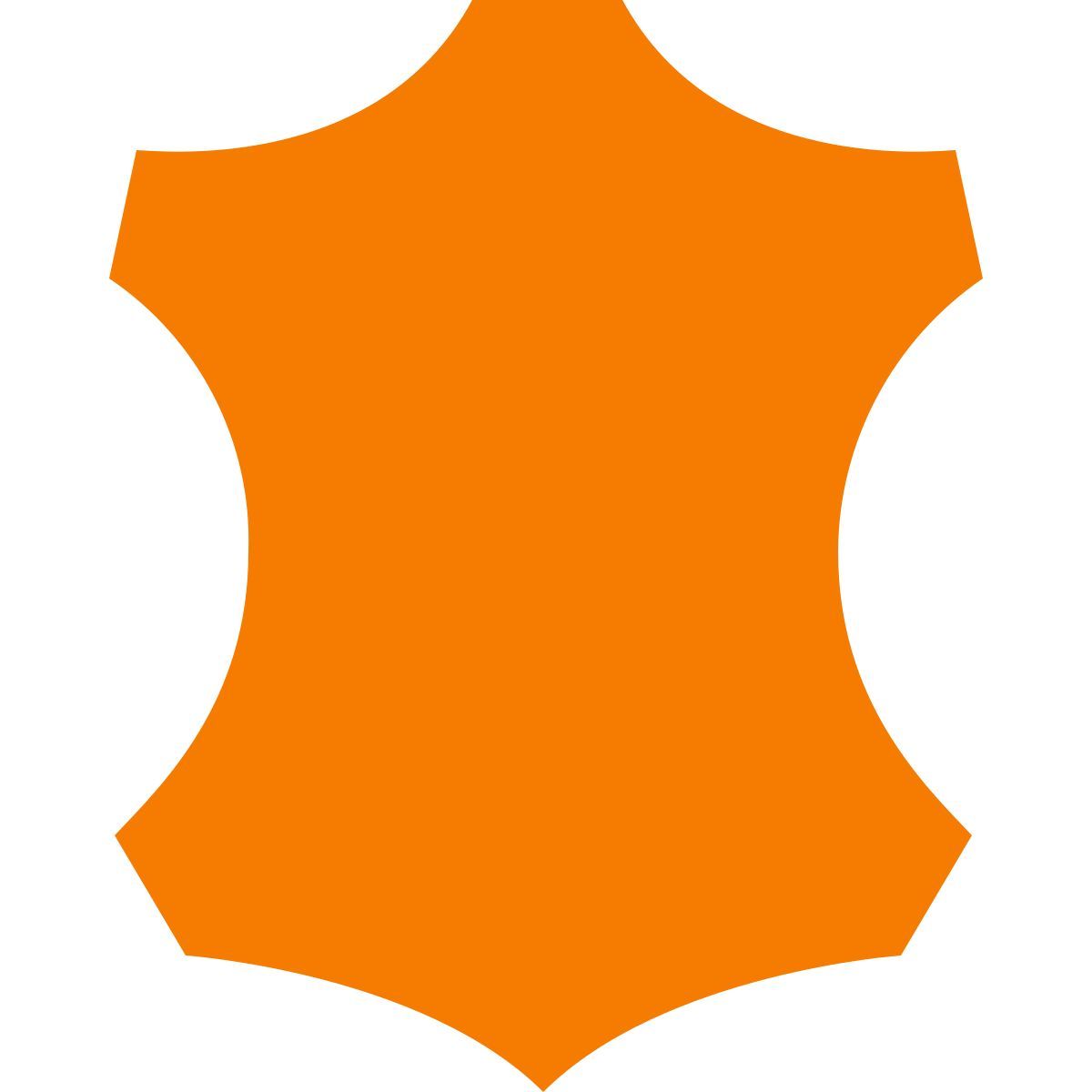 color style pelle icon